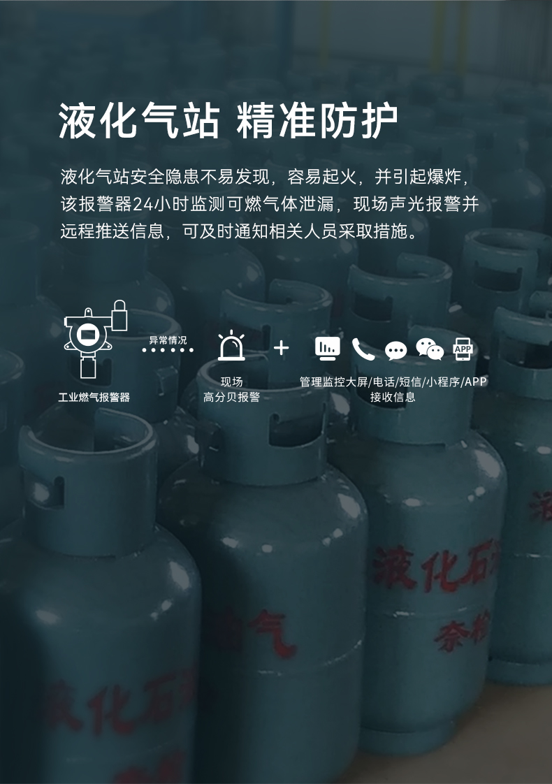 工業(yè)型可燃?xì)怏w探測器-GYT-HF-911NB詳情頁-790P_04.jpg